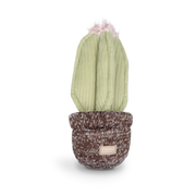 Cactus Toy