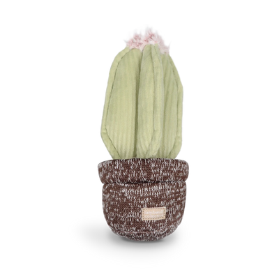 Cactus Toy