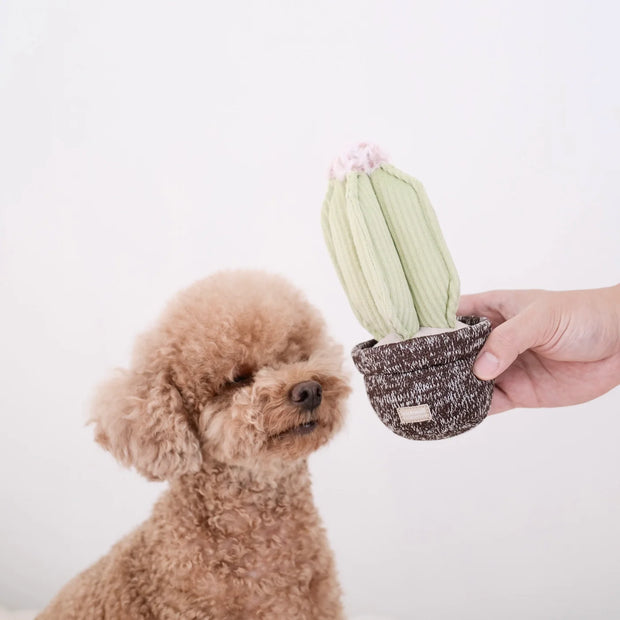 Cactus Toy