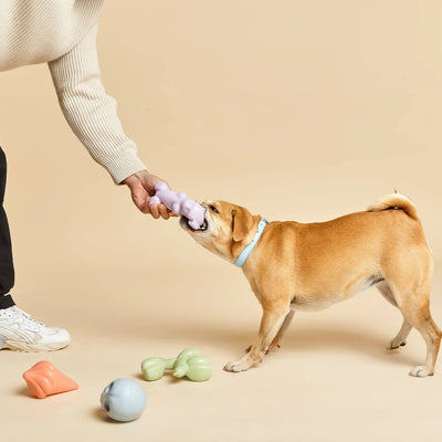 Gummy Squeaky Dog Toy