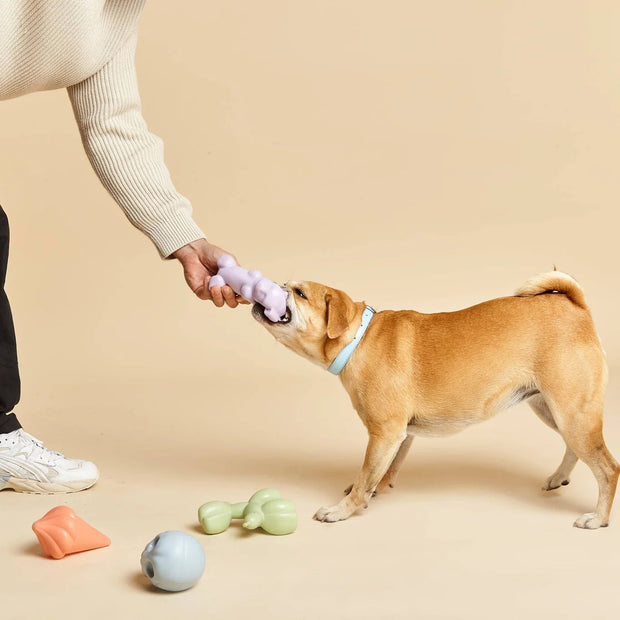 Skully Squeaky Dog Toy