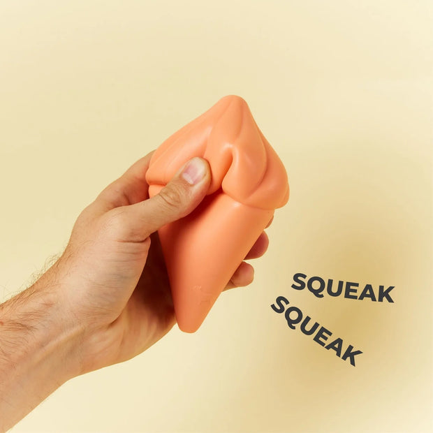 Whippy Squeaky Dog Toy